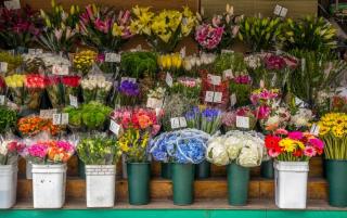 WhatsApp Image 2022-04-13 at 10.15.08