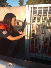 WhatsApp Image 2022-07-13 at 09.51.13