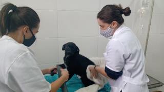 WhatsApp Image 2021-05-14 at 16.58.50