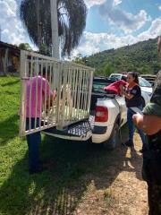 WhatsApp Image 2022-06-14 at 15.00.05