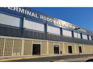 WhatsApp Image 2025-08-13 at 15.21.46