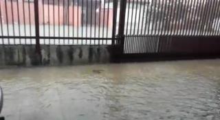 WhatsApp Image 2020-12-11 at 19.13.46