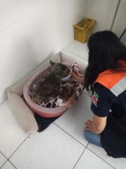 WhatsApp Image 2021-12-14 at 15.47.04