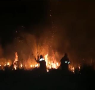 WhatsApp Image 2021-07-15 at 15.47.42