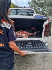 WhatsApp Image 2024-04-15 at 17.41.52