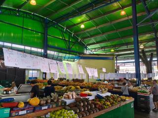 WhatsApp Image 2025-09-16 at 15.55.08