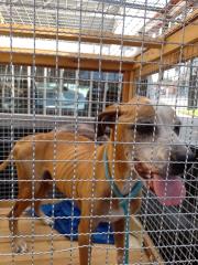 WhatsApp Image 2022-12-16 at 15.07.41