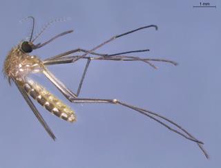 WhatsApp Image 2025-10-17 at 12.56.51