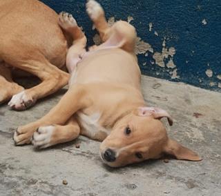 WhatsApp Image 2022-05-18 at 15.43.19