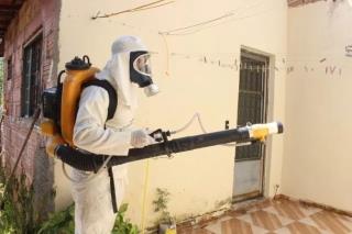 WhatsApp Image 2024-11-18 at 18.05.40