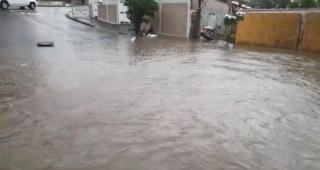 WhatsApp Image 2020-12-18 at 16.31.13