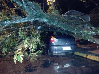 WhatsApp Image 2022-01-19 at 11.52.51