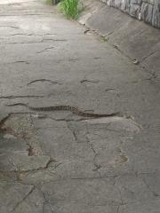 WhatsApp Image 2021-03-18 at 18.24.28