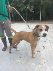 WhatsApp Image 2023-04-19 at 17.02.21