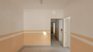 WhatsApp Image 2022-08-18 at 18.15.08