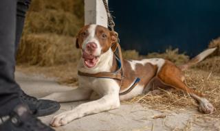 WhatsApp Image 2023-09-19 at 16.03.32