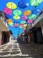 WhatsApp Image 2023-12-19 at 15.25.28