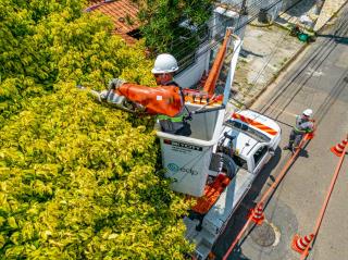 WhatsApp Image 2024-12-19 at 13.03.31