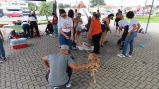 WhatsApp Image 2024-02-19 at 16.48.50