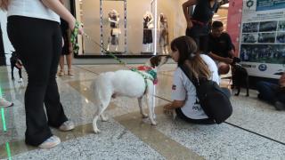 WhatsApp Image 2024-02-19 at 17.26.45