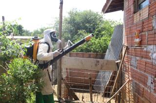 WhatsApp Image 2025-03-20 at 10.32.19