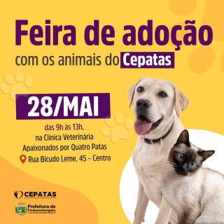 WhatsApp Image 2022-05-20 at 07.49.50