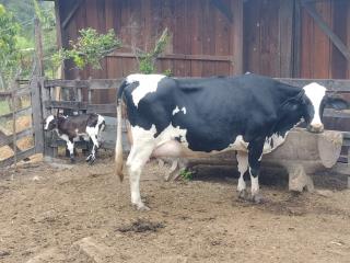 WhatsApp Image 2025-08-20 at 13.48.42