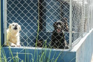 WhatsApp Image 2022-09-19 at 17.46.03