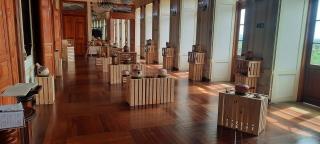 WhatsApp Image 2024-02-21 at 10.48.38