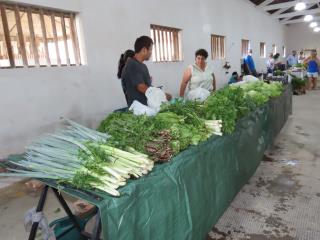 WhatsApp Image 2022-03-21 at 16.28.21