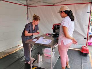 WhatsApp Image 2024-10-21 at 16.45.57