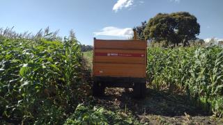 WhatsApp Image 2024-04-22 at 14.04.45