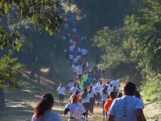 WhatsApp Image 2023-05-22 at 15.48.00