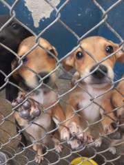 WhatsApp Image 2023-01-23 at 16.26.07