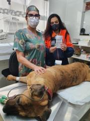 WhatsApp Image 2022-03-22 at 17.23.08