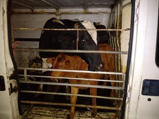 WhatsApp Image 2022-06-23 at 15.53.11