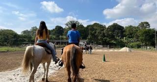 WhatsApp Image 2025-06-23 at 17.26.07