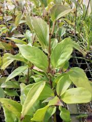 WhatsApp Image 2021-07-22 at 18.28.12