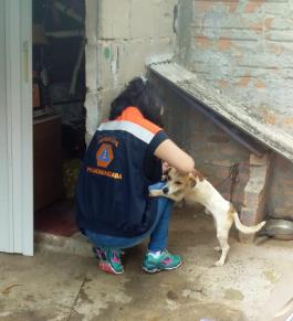 WhatsApp Image 2020-11-23 at 15.27.03