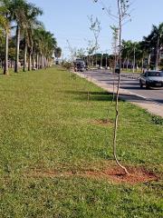 WhatsApp Image 2021-02-24 at 09.46.27