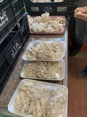 WhatsApp Image 2021-03-24 at 11.06.57