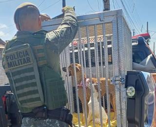 WhatsApp Image 2025-03-23 at 09.15.08