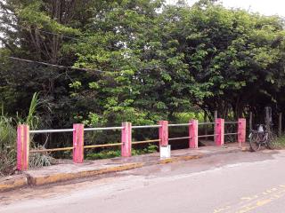 WhatsApp Image 2021-11-24 at 15.19.56