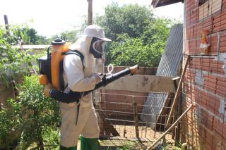 WhatsApp Image 2021-03-25 at 09.35.41