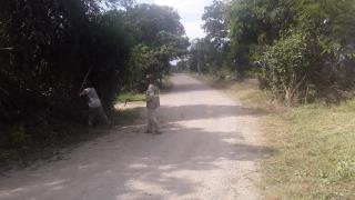 WhatsApp Image 2021-03-25 at 09.22.03