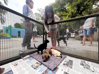 WhatsApp Image 2024-03-25 at 12.00.57