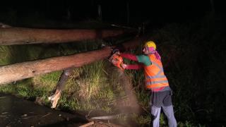 WhatsApp Image 2025-03-25 at 10.46.02