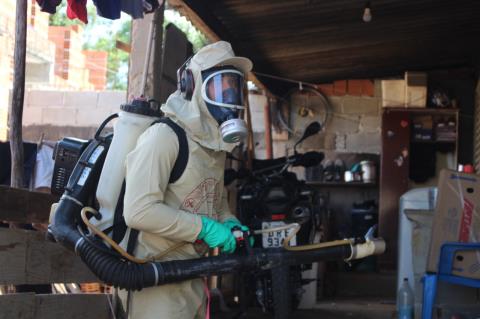 WhatsApp Image 2026-03-25 at 11.45.30