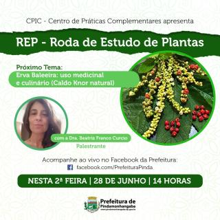 CPIC roda de estudo