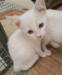 WhatsApp Image 2022-01-25 at 16.54.05